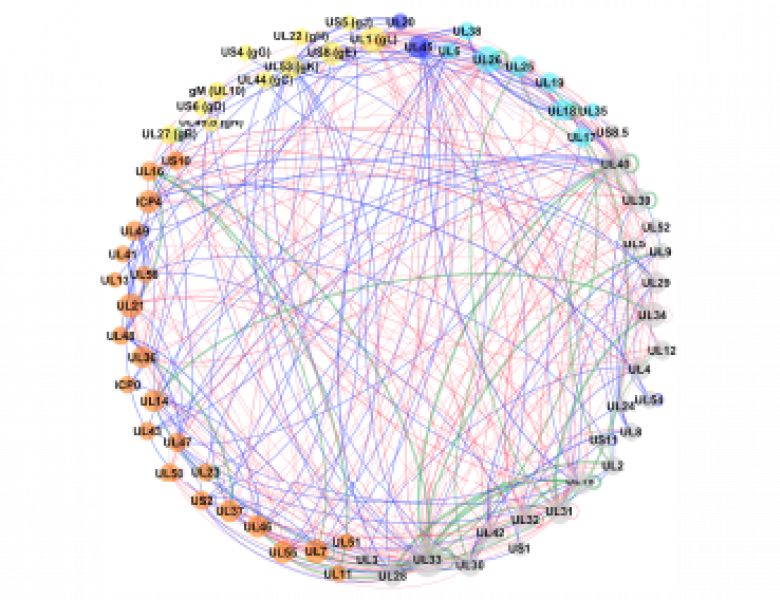 Schaubild Integrative Virologie