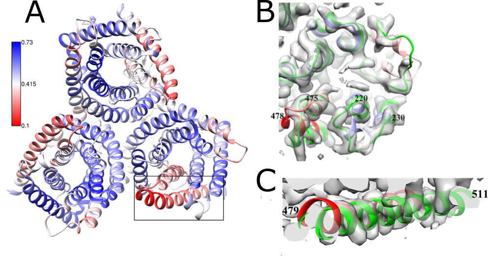 Schaubild für die Wissenschaft Integrative Virology