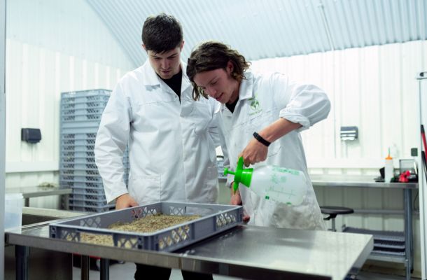 Schaubild Leibniz Wissenschafts Campi