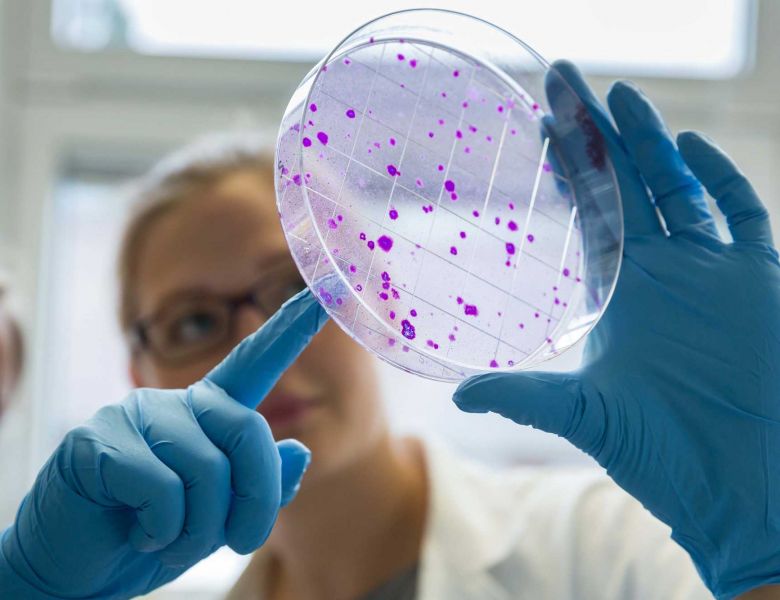 Schaubild Leibniz Center Infection